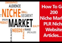 niche market plr articles