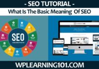 What Is The Basic Meaning Of SEO (Step By Step Tutorial)