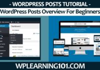 WordPress Posts Overview For WordPress Beginners (Step By Step Tutorial)