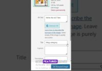 how to add alt text for images